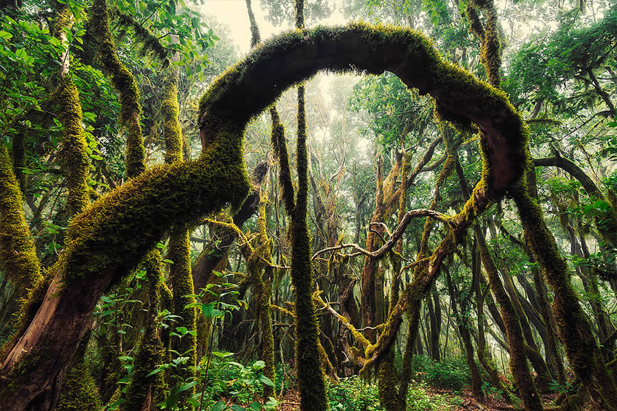 Canary Islands Landscape Photography by Lukas Furlan