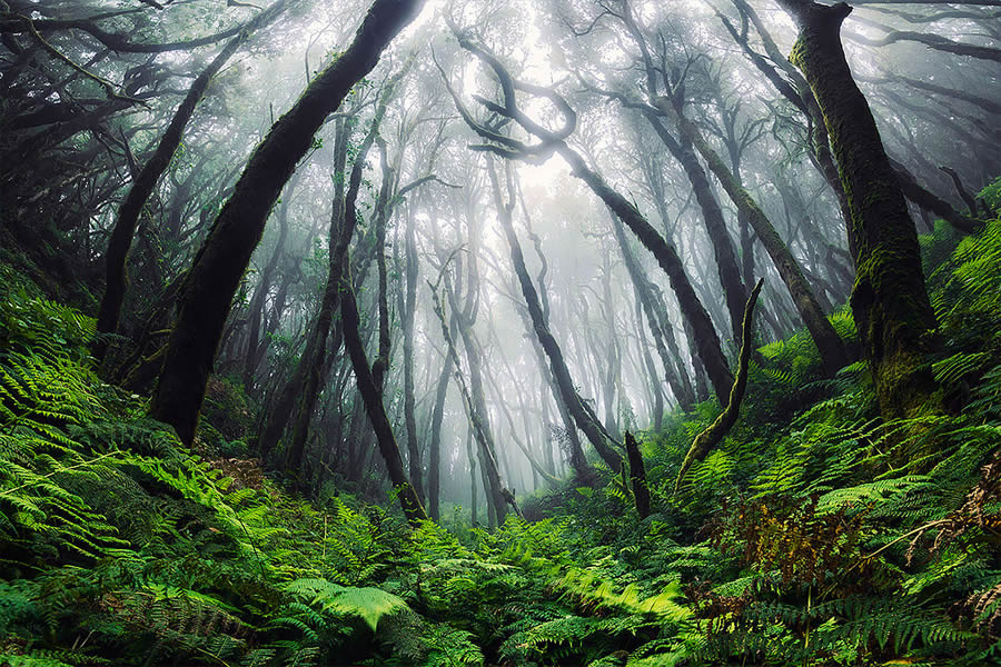 Canary Islands Landscape Photography by Lukas Furlan