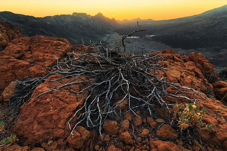 Canary Islands Landscape Photography by Lukas Furlan